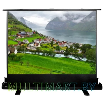 Проекционный экран CACTUS FloorExpert 102x180 (CS-PSFLE-180X102)